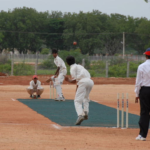 Cricket